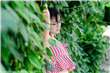 错爱杂志